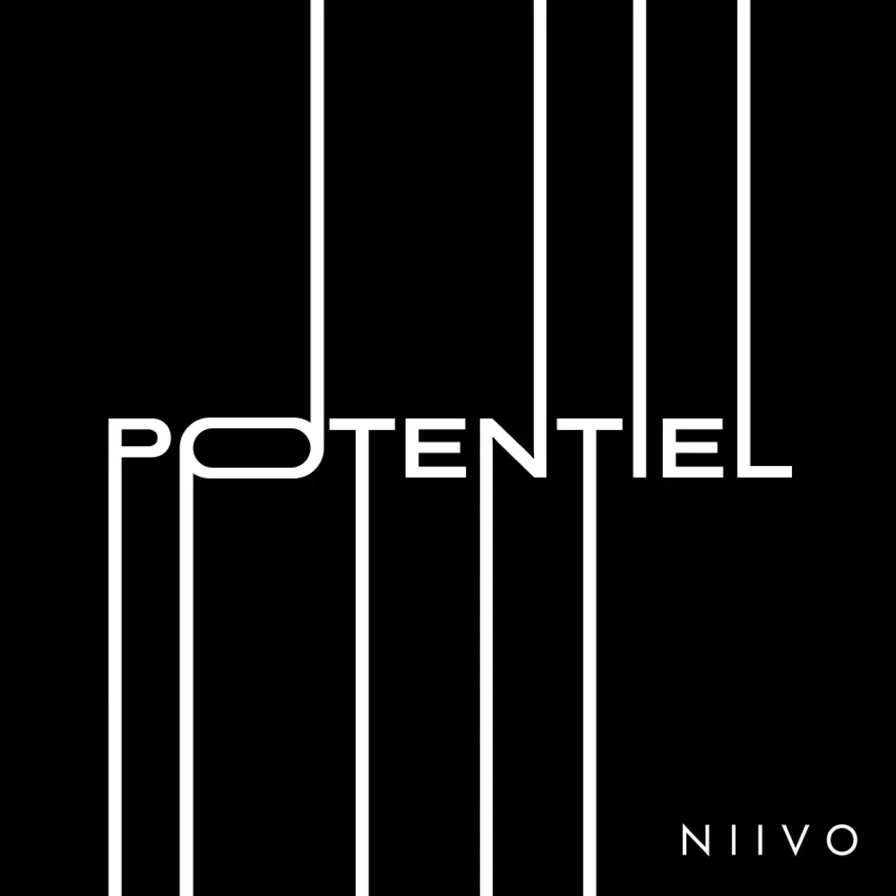 Pochette de Potentiel
